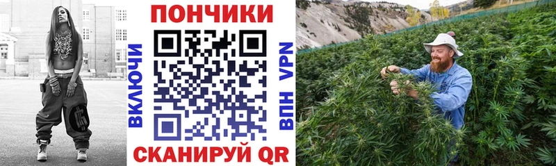 Купить наркотики цена Нижний Тагил Марихуана APVP ГАШ Псилоцибиновые грибы Меф