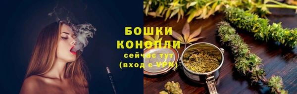 стафф Богданович