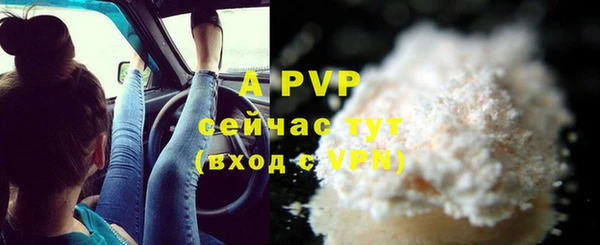 стафф Богданович