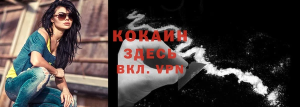 ALPHA PVP Богородицк