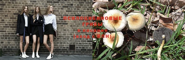 ALPHA PVP Богородицк