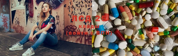 стафф Богданович