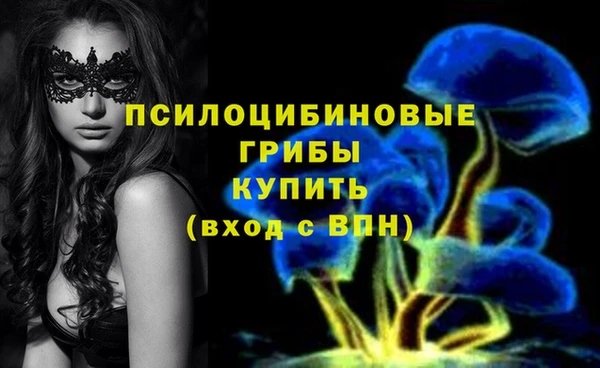 MDMA Premium VHQ Богородск