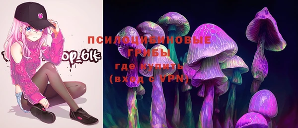 стафф Богданович