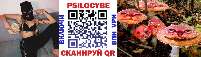 Галлюциногенные грибы Psilocybe  Нижний Тагил 
